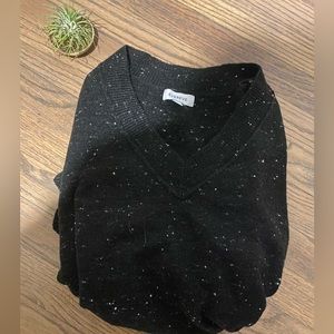 Evereve black Vneck Pullover
